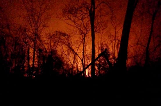 Céu noturno avermelhado por causa das chamas destacando os restos carbonizados das árvores