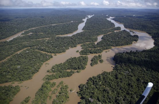 Vista aérea de paisagem fluvial na Amazônia