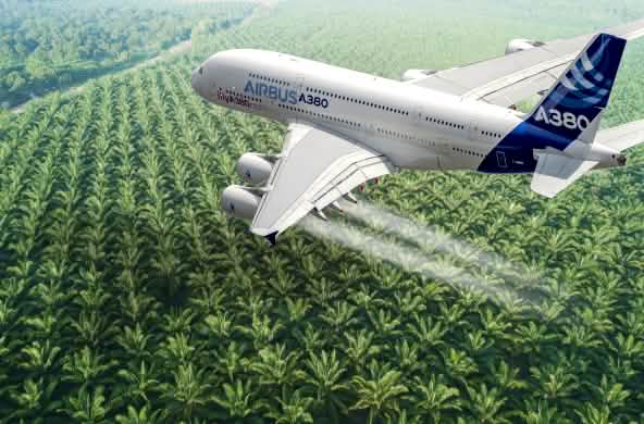 Montagem: Avião da Airbus sobrevoando plantação de óleo de palma