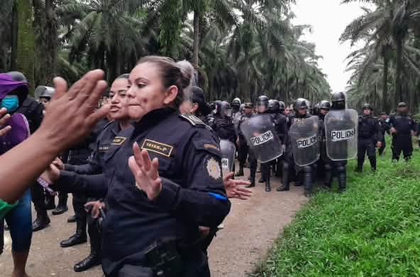 Um grande grupo de policiais de capacetes protetores e escudos avançando sobre uma pista situada em uma monocultura de óleo de palma