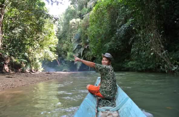 Um homem na ponta de um pequeno barco mostra, entusiasmado, a floresta tropical