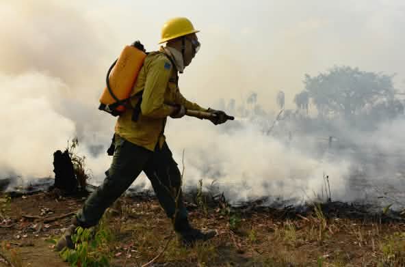 Pessoa com capacete, blusa amarela, calça verde, botas e uma mochila de água nas costas bombeia água sobre fogo em vegetação rasteira