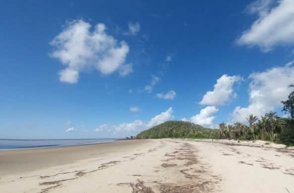 Praia tropical com palmeiras na Ilha do Cajual