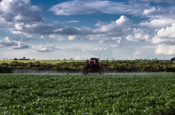 Veneno em monocultura de soja