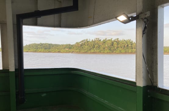 Olhar a partir de um convés sobre a água - ao fundo, terra e palmeiras