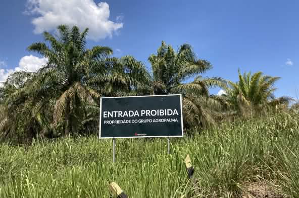 Placa do conglomerado de dendê Agropalma, às bordas de uma monocultura de óleo de palma