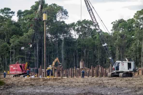 Petróleo na floresta tropical