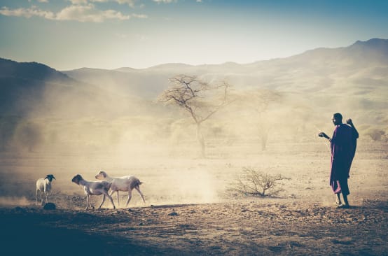 Pastor de rebanho na Tanzânia, Massai