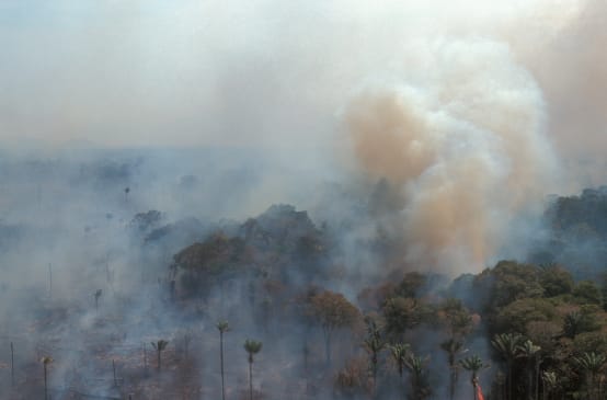 Vista aérea de uma floresta tropical em chamas