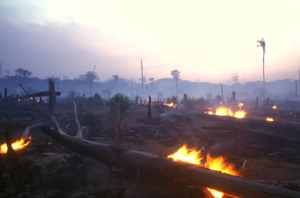 Incêndio florestal no Brasil