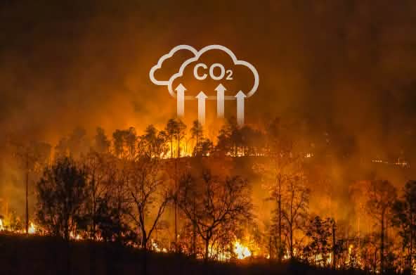 Incêndios florestais e queimadas intencionais contribuem com o aquecimento global