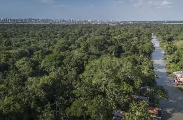 Silhueta de Belém e a floresta amazônica