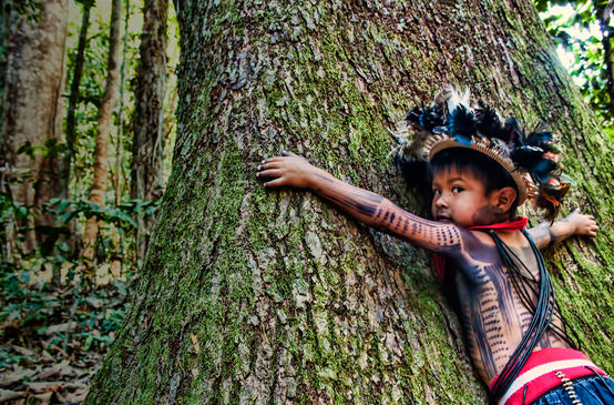 Criança indígena de corpo pintado e ornamentada com adereço de penas abraça um gigantesco tronco de árvore
