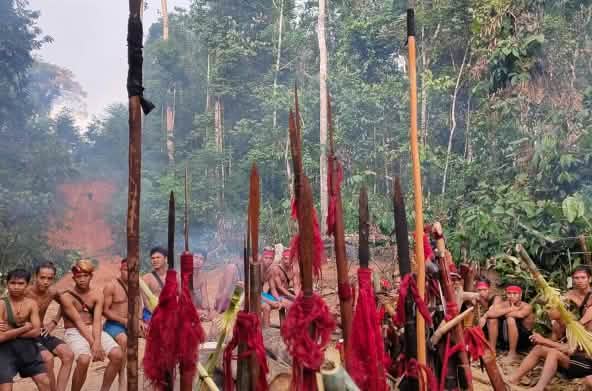 Os indígenas Dayak Tomun, de Kinipan, opõem-se ao desmatamento de sua floresta, feito pela firma de óleo de palma SML