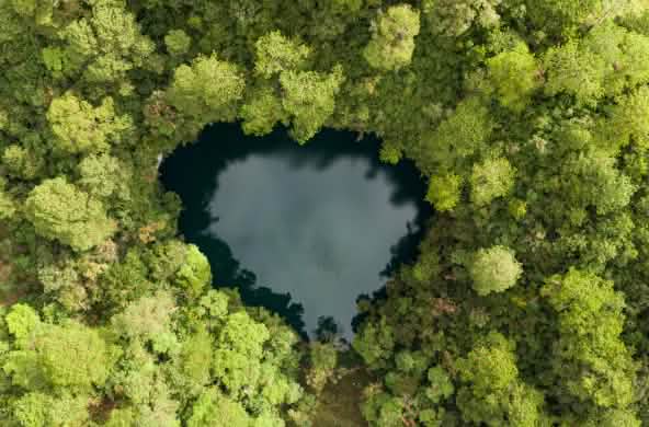 Foto aérea de um pequeno lago em forma de coração, cercado por densa floresta