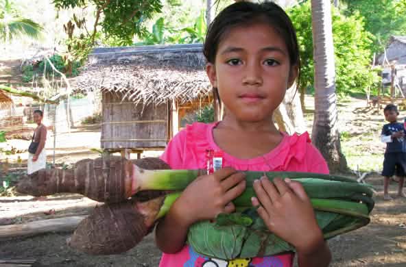 Uma menina com cormos de taro no braço, no fundo da imagem cabanas