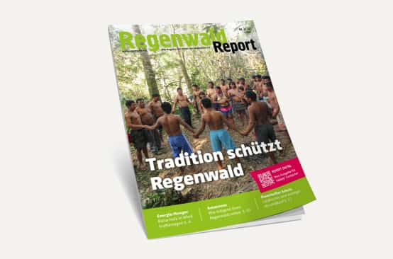 Vista 3D da capa da nossa Revista “Regenwald Report 2/22”
