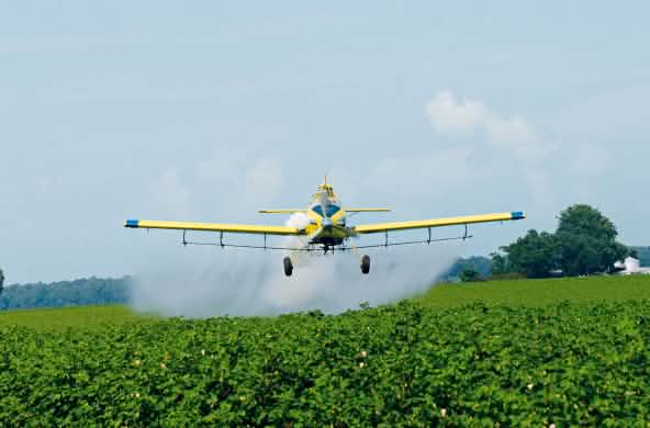 Um avião pulveriza um campo de soja com pesticidas