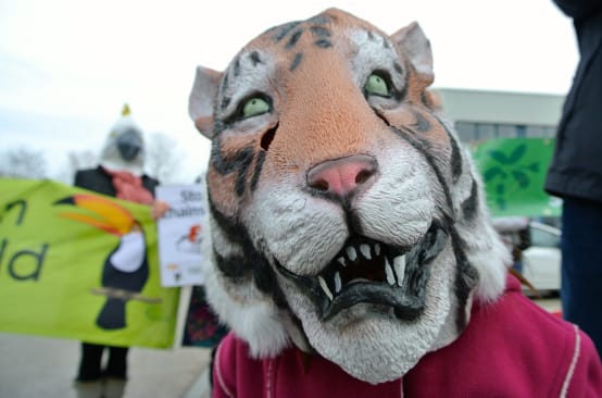 Máscara de tigre em manifestação de "Salve a Floresta"