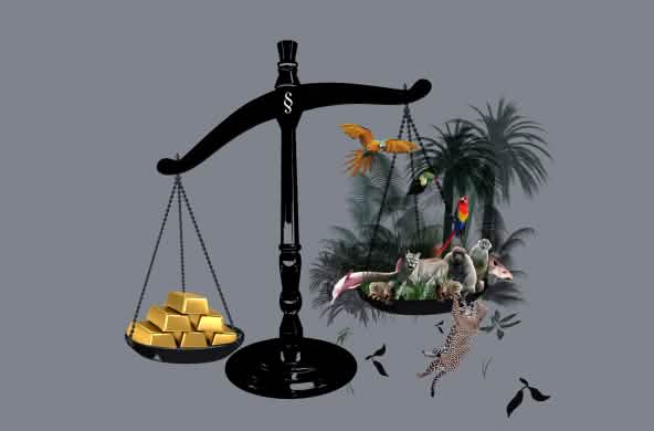 Balança com barras de ouro e floresta equatorial