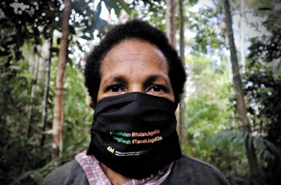 Mulher de papua com máscara  "Protejam a floresta - a floresta nos protege"