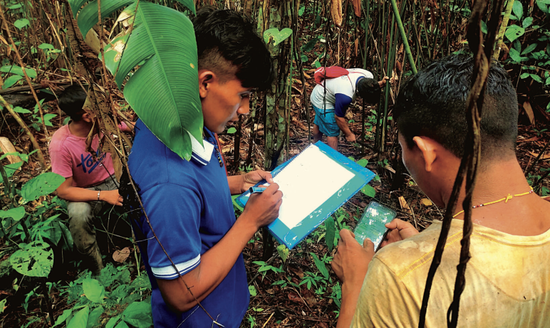 Os Ka‘apor medindo suas terras com aparelhos GPS