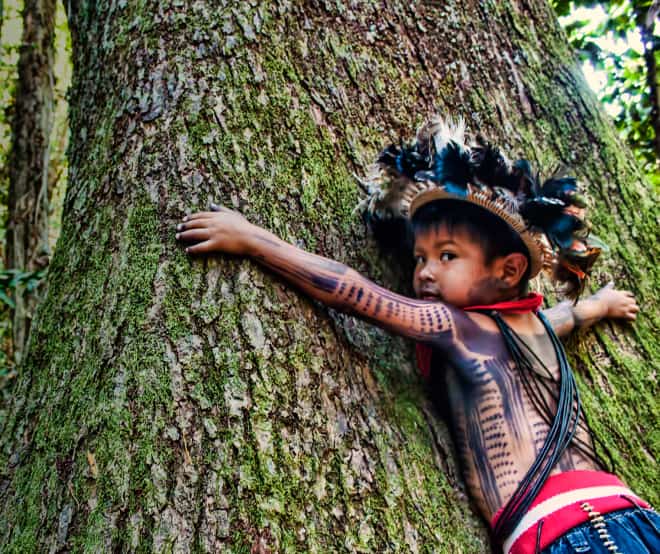 Criança indígena de corpo pintado e ornamentada com adereço de penas abraça um gigantesco tronco de árvore