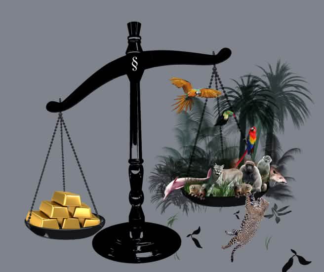 Balança com barras de ouro e floresta equatorial