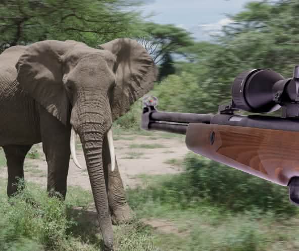 Fotomontagem: elefante selvagem e espingarda
