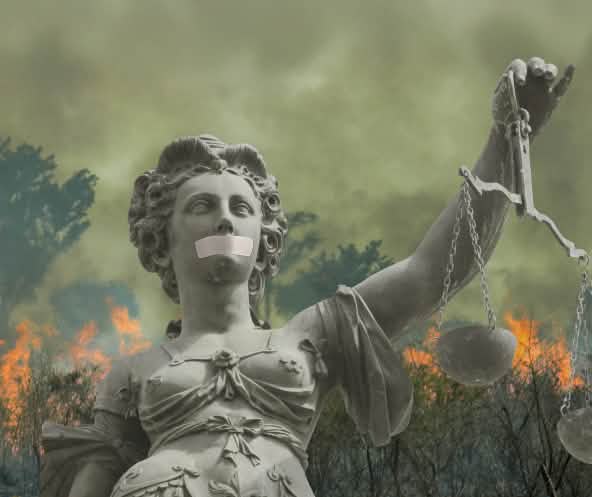 Colagem Estátua da Justiça diante de floresta tropical em chamas