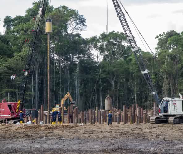 Petróleo na floresta tropical