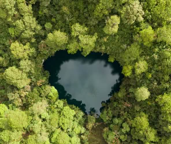 Foto aérea de um pequeno lago em forma de coração, cercado por densa floresta