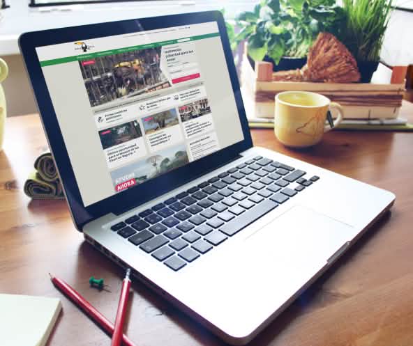 Mockup Website Relaunch