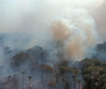 Vista aérea de uma floresta tropical em chamas