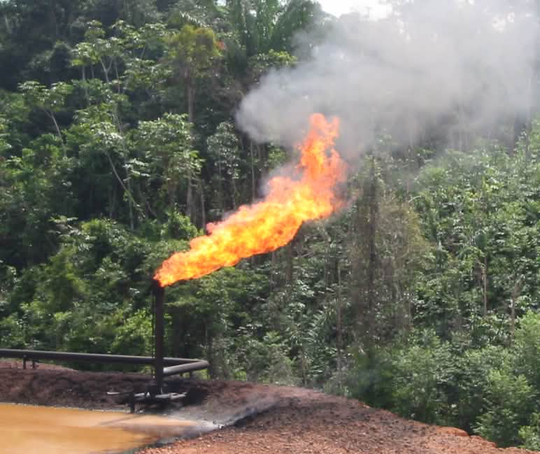 Destruição ambiental por conta da exploração de petróleo no Equador Exploração de petróleo no Equador