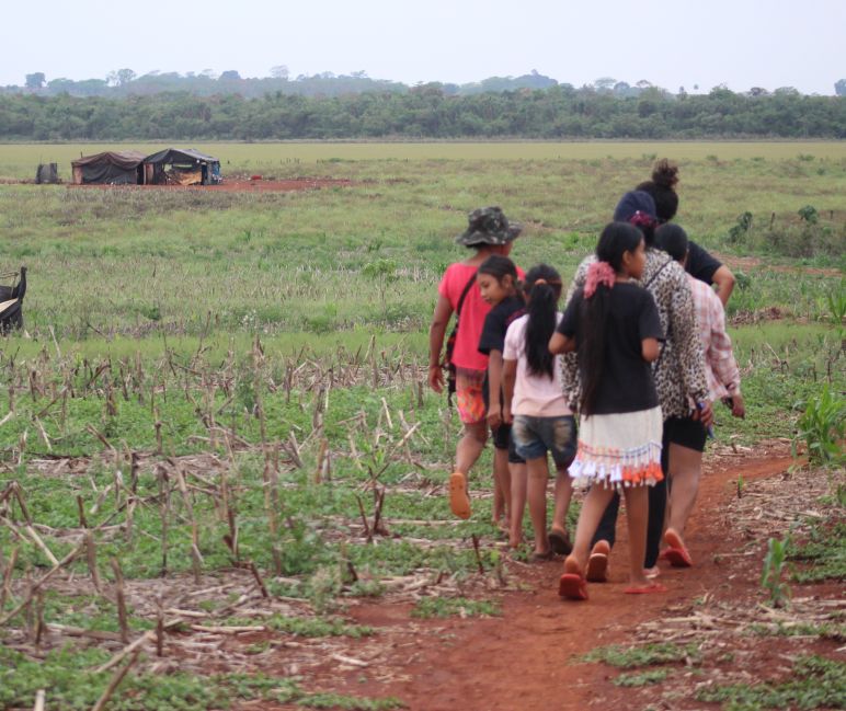 Um pequeno grupo de indígenas marcha por uma antiga zona agrícola