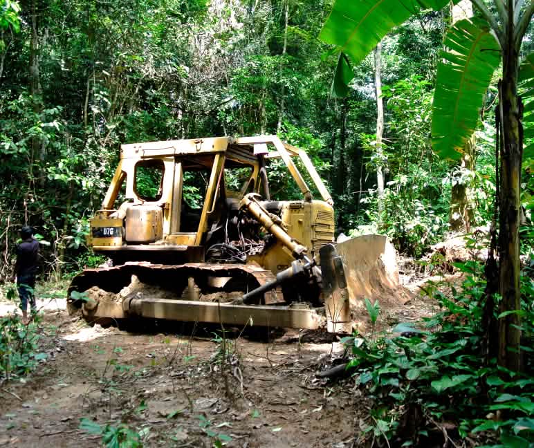 Bulldozer no Parque Nacional de Cross River, Nigéria