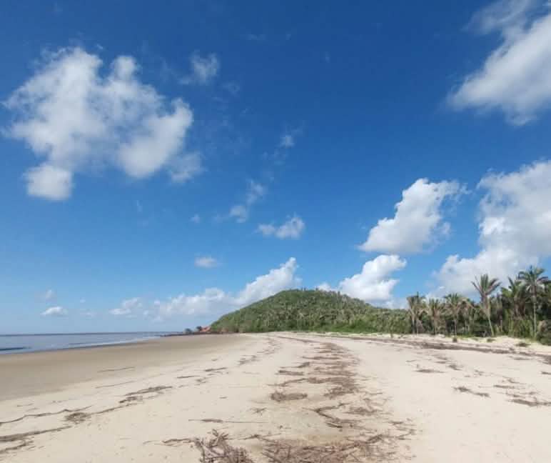 Praia na ilha do Cajual Praia tropical com palmeiras na Ilha do Cajual