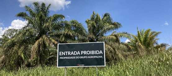 Placa do conglomerado de dendê Agropalma, às bordas de uma monocultura de óleo de palma