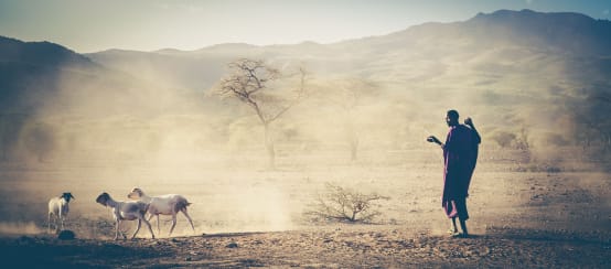 Pastor de rebanho na Tanzânia, Massai