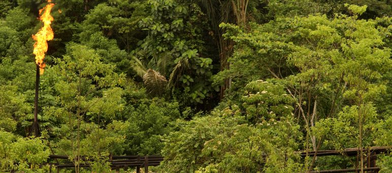 Imagem simbólica: Também na Amazônia está sendo explorado petróleo e queimado gás natural Chama de gás na Amazônia equatoriana