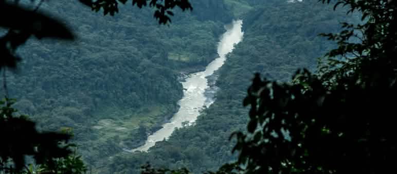 Vista da vegetação a partir da perspectiva do leito de um rio em um vale na floresta tropical