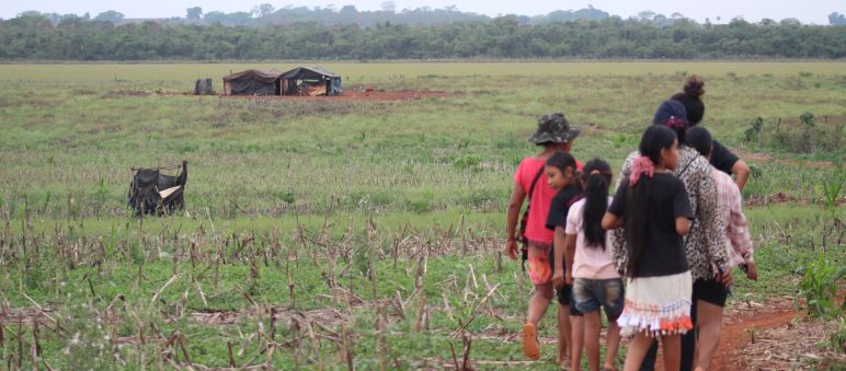 Um pequeno grupo de indígenas marcha por uma antiga zona agrícola