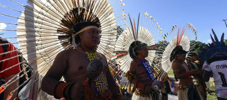Protesto indígena no Acampamento Terra Livre em Brasília 2024 Três homens indígenas adornados com grandes cocares redondos de penas em suas cabeças, segurando seus maracás