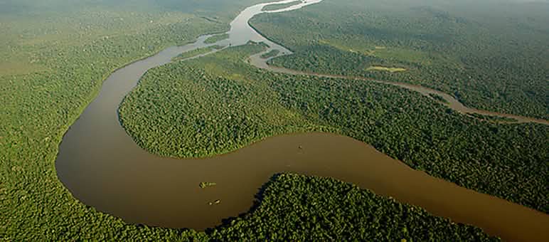 Um rio abre caminho pela Amazônia
