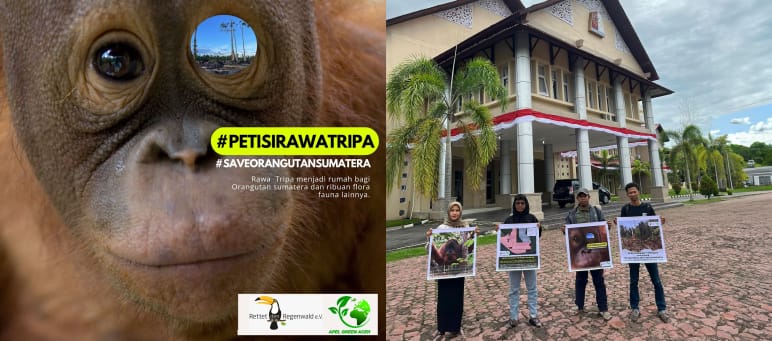 Colagem Petição Tripa - Entrega + Poster Colagem Petição Tripa - Entrega + Pôster