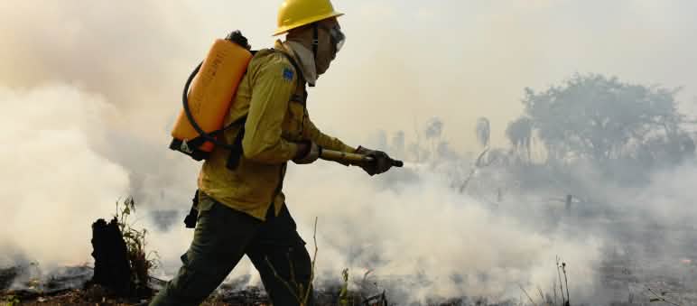Pessoa com capacete, blusa amarela, calça verde, botas e uma mochila de água nas costas bombeia água sobre fogo em vegetação rasteira