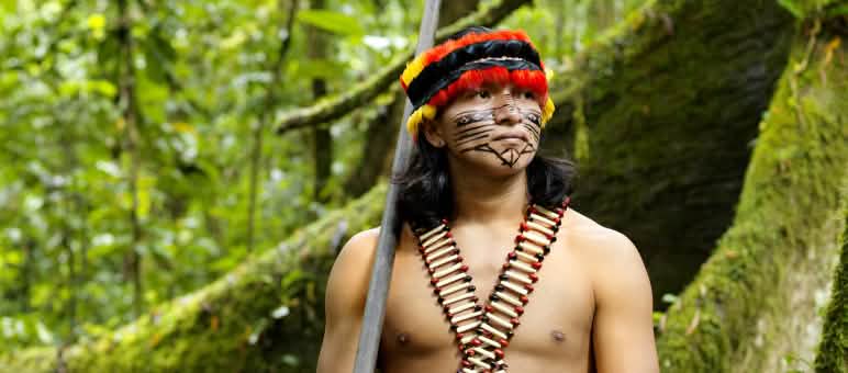 826 povos originários da floresta vivem na América Latina e no Caribe, dos quais 305 no Brasil Representante de um povo da floresta com zarabatana, de rosto pintado e enfeitado com uma pena