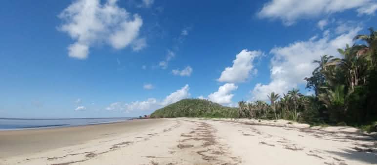 Praia tropical com palmeiras na Ilha do Cajual