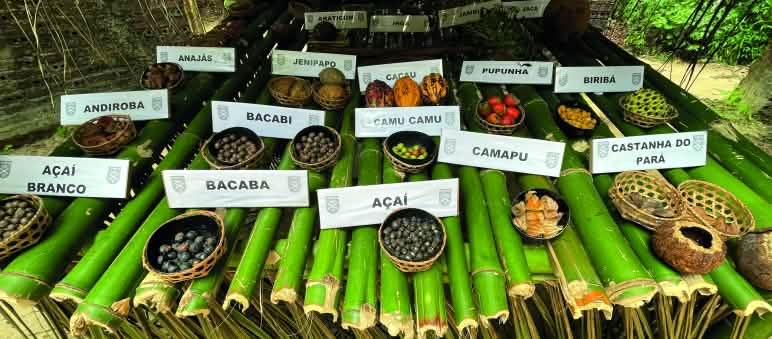 Comida dos povos amazônicos